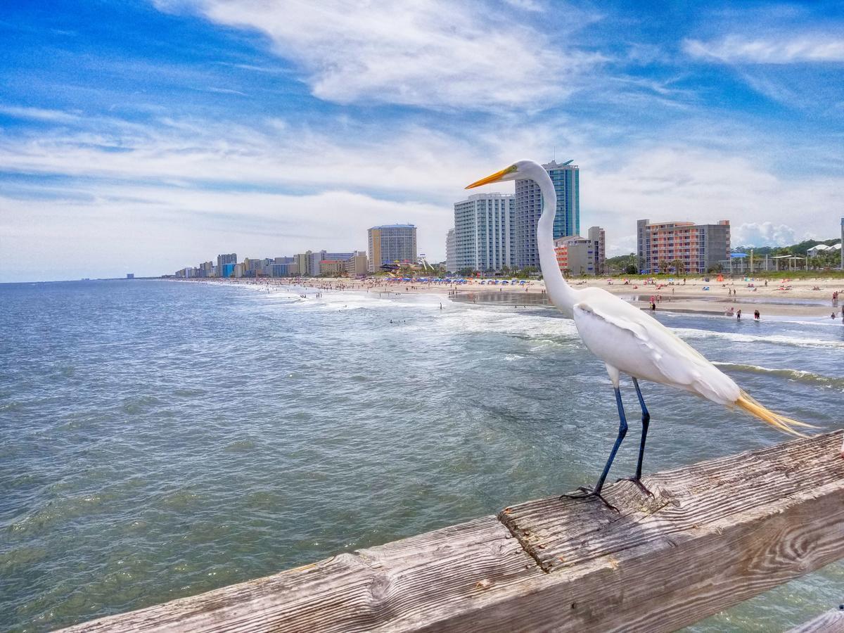 New Amazing Corneramazing Views Honeymoon Suite! Myrtle Beach Esterno foto